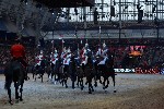 Cavalry - 00164